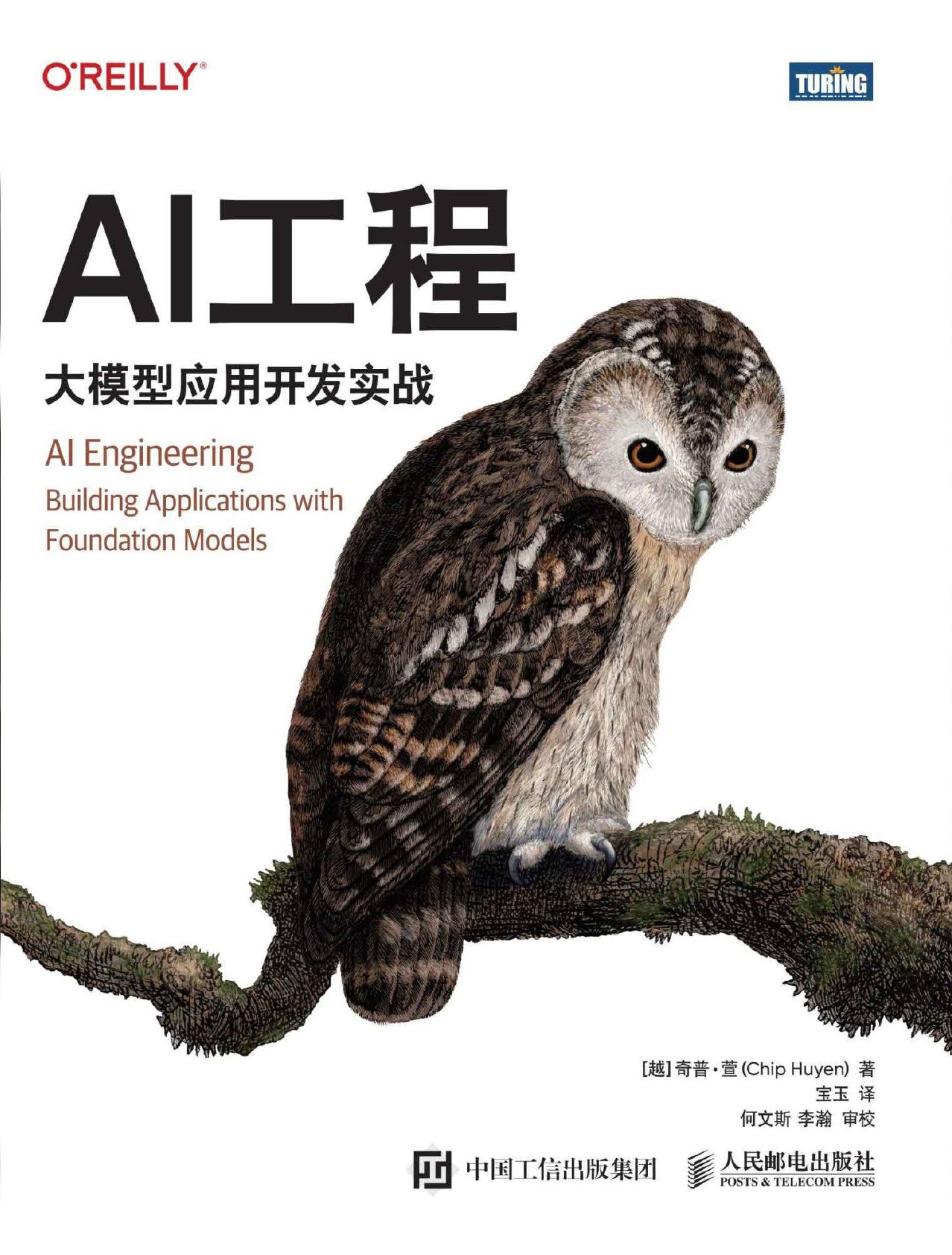 AI工程：大模型应用开发实战